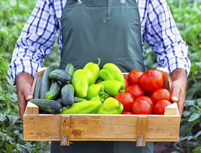 10 pasi pentru a imbunatati marketing-ul fermei