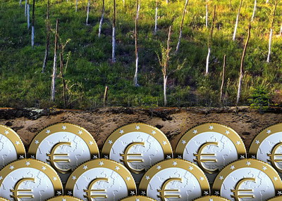 Culturi profitabile pe bani europeni: Afaceri cu Goji