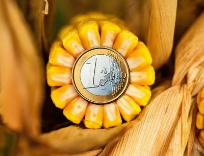 Analiza AgroGo: Cat de rentabila a fost stocarea cerealelor in acest sezon?