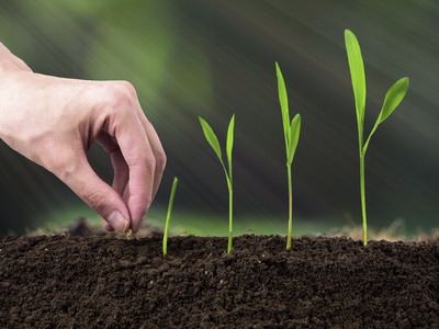 Noutati privind masurile de mediu si clima: 153 – 483 euro/ha pentru agricultura ecologica