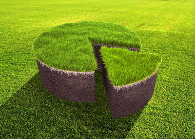 Performantele Romaniei in domeniul sectorului agriculturii ecologice