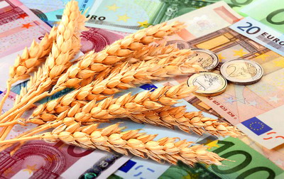 Subventii de peste 2 miliarde euro au ajuns pana acum in conturile fermierilor