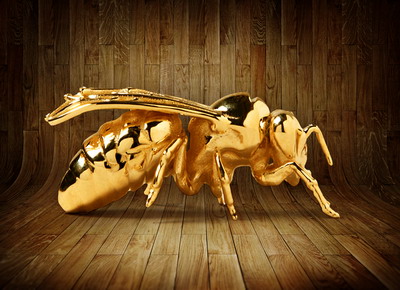 Modificari importante aduse Programului National Apicol 2017-2019