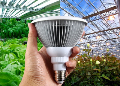 Tipuri de iluminare suplimentara a plantelor din spatiile protejate si apartament