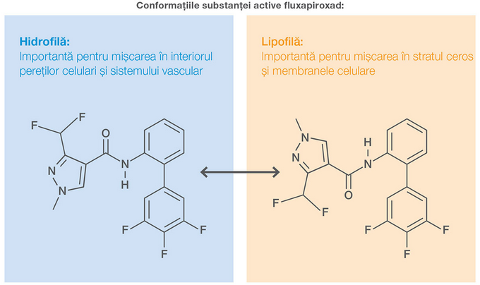 molecula-fluxapiroxad