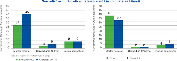 sercadis-teste-eficacitate