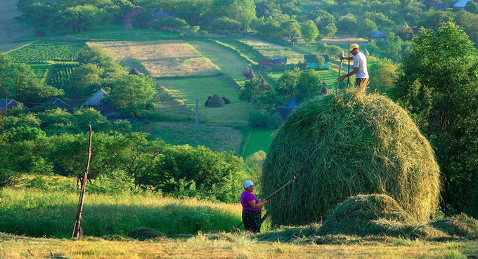 Agroecologia poate ajuta la imbunatatirea productiei de alimente