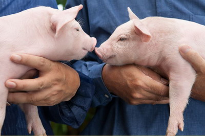 BASF - tehnologia blockchain