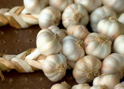 Cultivatorii de usturoi din Romania s-au intalnit cu reprezentantii marilor importatori din Romania