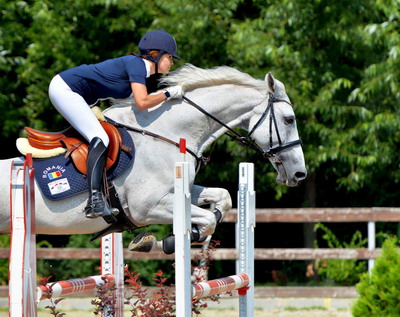 Spectaculozitate si forta! Peste 100 de cai de rasa la Cupa Equestria 2018