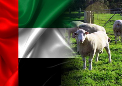 Exportul romanesc de ovine, caprine si carne, o prioritate a Comisiei Mixte Emiratele Arabe Unite – Romania