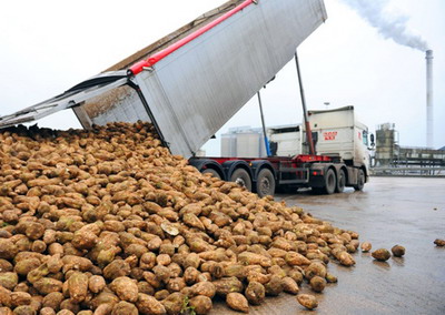 Lista fabricilor de zahar recunoscute de MADR