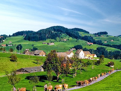 Noile optiuni de rambursare a costurilor din proiectele de dezvoltare rurala usureaza viata beneficiarilor