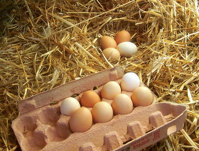 Ouale provenite de la gaini crescute in baterii au fost eliminate din sortimentul de produse Lidl Romania