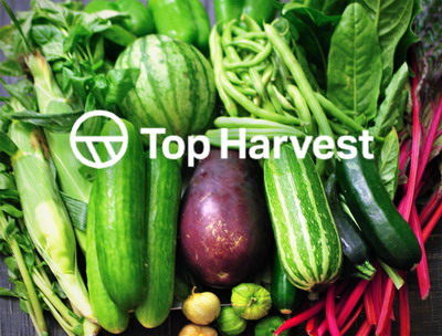 Trei varietati noi, de sezon, pe piata de legume din Romania