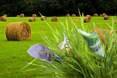 Sprijinul cuplat in sectorul vegetal: Cati euro pe hectar primesc fermierii pentru fiecare cultura in parte?