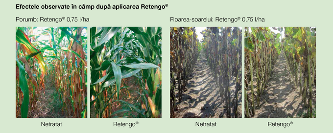 retengo-efecte-observate