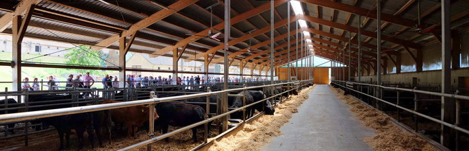 ANGUS Partners Day - ferma