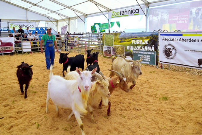 AgriPlanta-RomAgroTec 2018 - 7