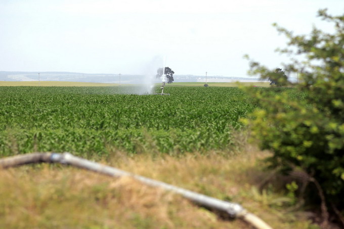 Canalul Siret-Baragan - Teren irigat