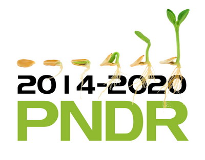 Ghiduri consultative pentru 4 submasuri de finantare din PNDR 2020