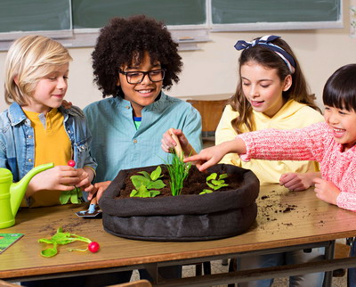 Gradina in miniatura - kituri de gradinarit pentru profesori