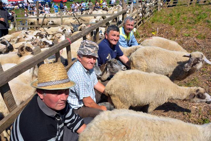 Sambra Oilor 2018 - c