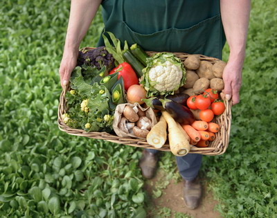 Agricultura ecologica romaneasca in noul model agricol european