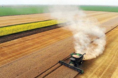 VitalFields. Management mai eficient. Mai mult timp pentru cresterea fermei