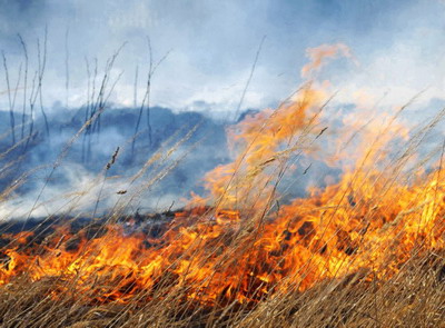 Arderea miristilor si a vegetatiei uscate