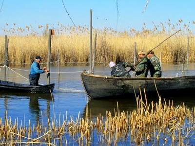 Practicile durabile si sprijinirea micilor pescari – prioritatile Noilor fonduri europene pentru pescuit