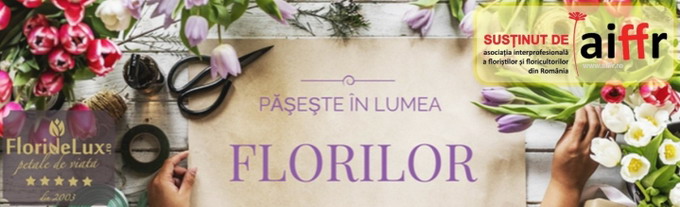 Cursurile de specialist florist