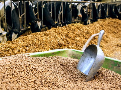 Furajele medicamentate: Consiliul UE da unda verde pentru pachetul privind medicamentele pentru animale