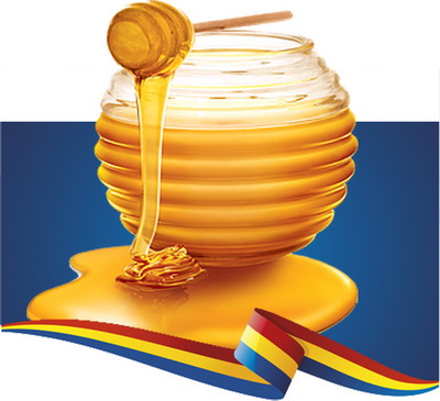 Masuri pentru sprijinirea apicultorilor romani – tema conferintei organizate la Bruxelles de eurodeputata Daciana Sarbu