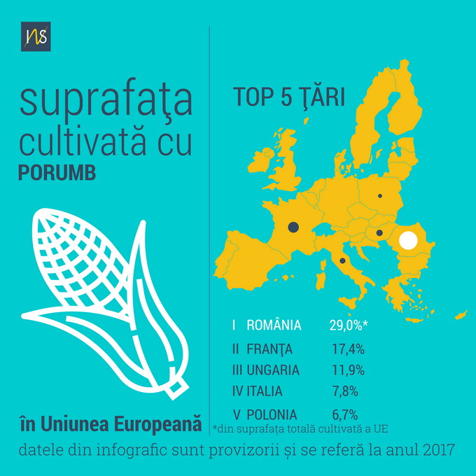 Suprafetele cultivate cu porumb in UE