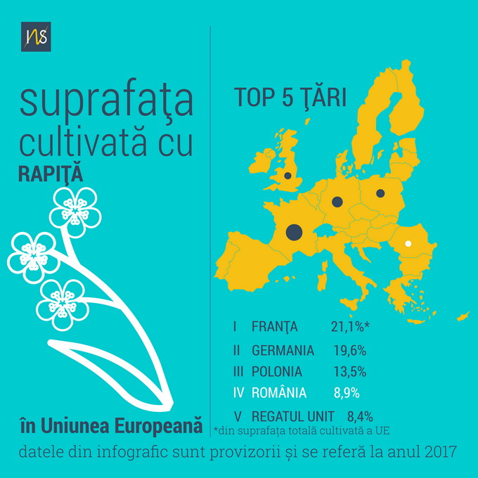 Suprafetele cultivate cu rapita in UE