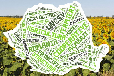 Uniunea de Ramura Nationala a Cooperativelor din Sectorul Vegetal UNCSV