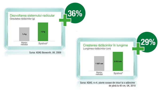 Fungicidul Systiva 333 FS - grafic-dezvoltarea-sistemului-radicular