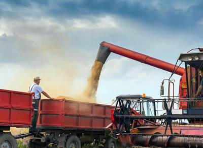 Importurile de soia din SUA sunt in crestere cu peste 280 %