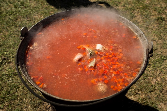 Pescaresti la Ghindaresti - Festival pe malul Dunarii