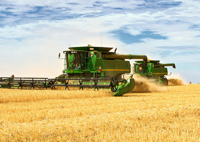 Potential pentru exportul de grau, porumb si de ingrasaminte in Sri Lanka