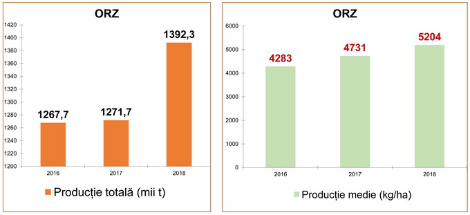Recolta din vara anului 2018 - grafic 3