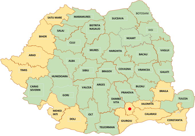 Recolta din vara anului 2018 - grafic 4