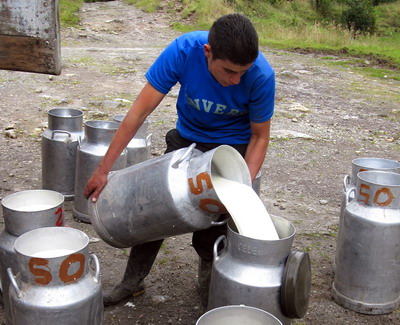 FAO: Scadere drastica a preturilor la alimente in luna iulie