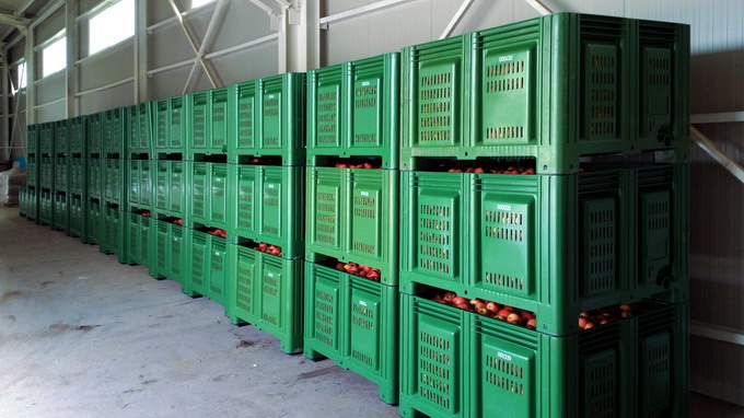 Boxpaletii din plastic pentru depozitarea legumelor si fructelor