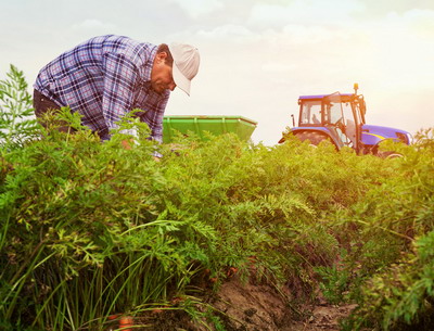 Finantarea fermierilor primele acorduri intre Fondul European de Investitii si 4 banci romanesti