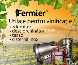 Procesul de vinificatie - Utilaje pentru obtinerea vinului