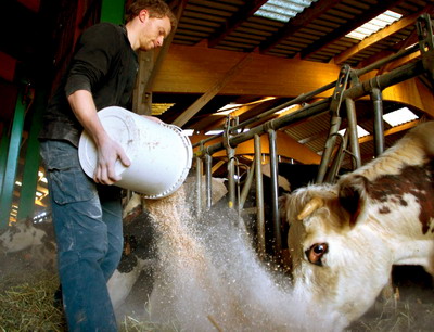 Seceta in Europa: Masuri pentru a ajuta fermierii europeni in privinta furajelor pentru animale