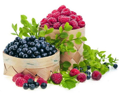 Ce fructe de padure plantam toamna aceasta? Top 5 cele mai rentabile soiuri