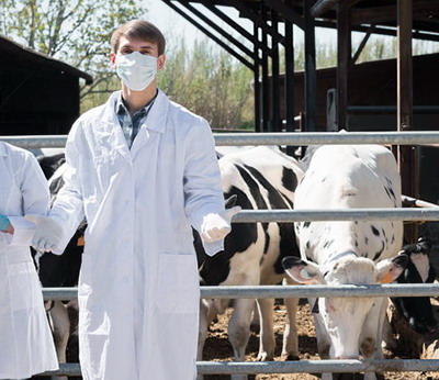 Miting de protest al medicilor veterinari